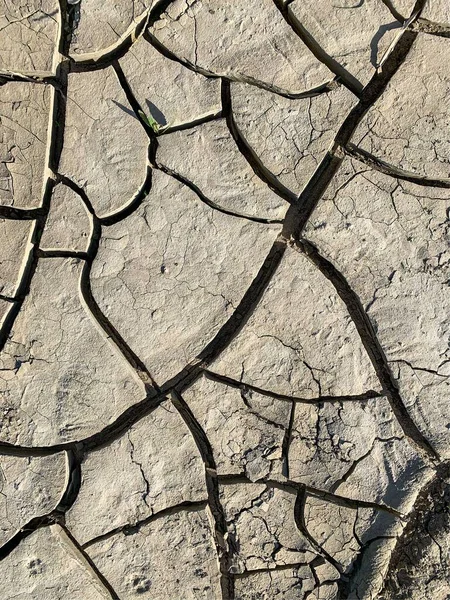 Cracked Earth Wallpaper Backdrop — 스톡 사진