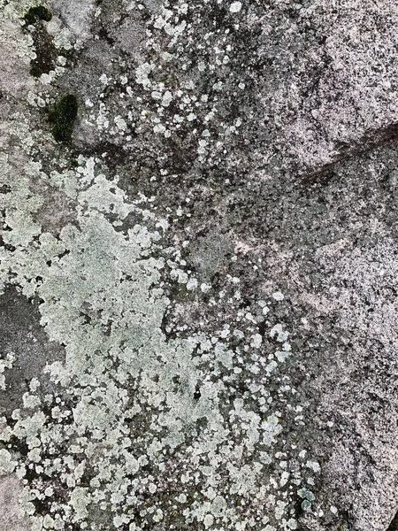 Dağ kayası arka planı. Taş zemin