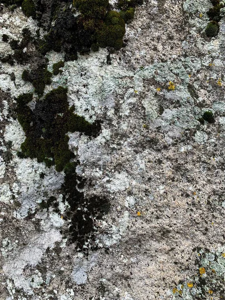 Dağ kayası arka planı. Taş zemin