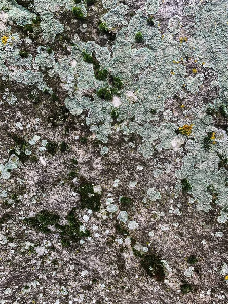 Dağ kayası arka planı. Taş zemin