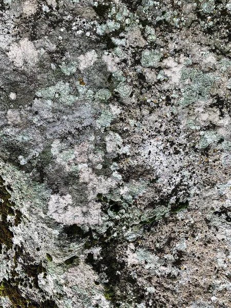 Dağ kayası arka planı. Taş zemin