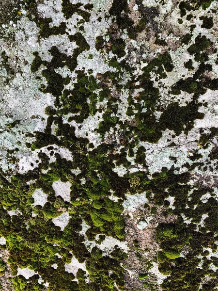 Dağ kayası arka planı. Taş zemin