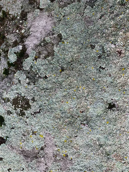 Dağ kayası arka planı. Taş zemin