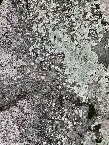 Dağ kayası arka planı. Taş zemin