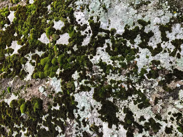 Dağ kayası arka planı. Taş zemin