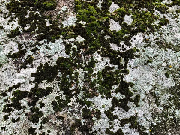 Dağ kayası arka planı. Taş zemin