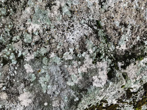 Dağ kayası arka planı. Taş zemin