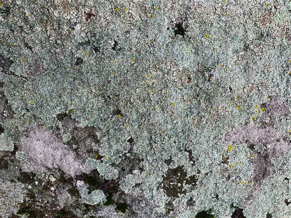 Dağ kayası arka planı. Taş zemin