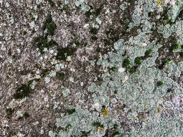 Dağ kayası arka planı. Taş zemin