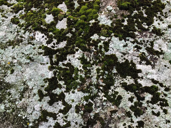 Dağ kayası arka planı. Taş zemin