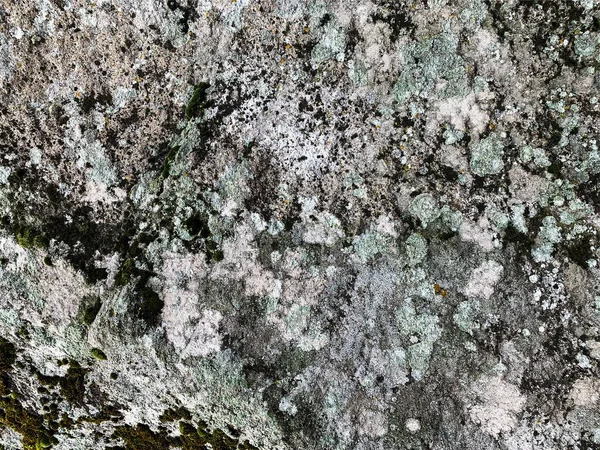 Dağ kayası arka planı. Taş zemin