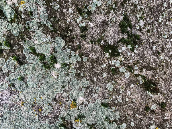 Dağ kayası arka planı. Taş zemin