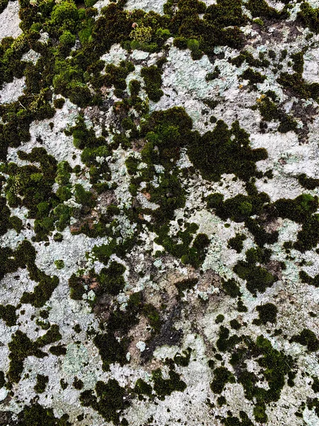 Dağ kayası arka planı. Taş zemin