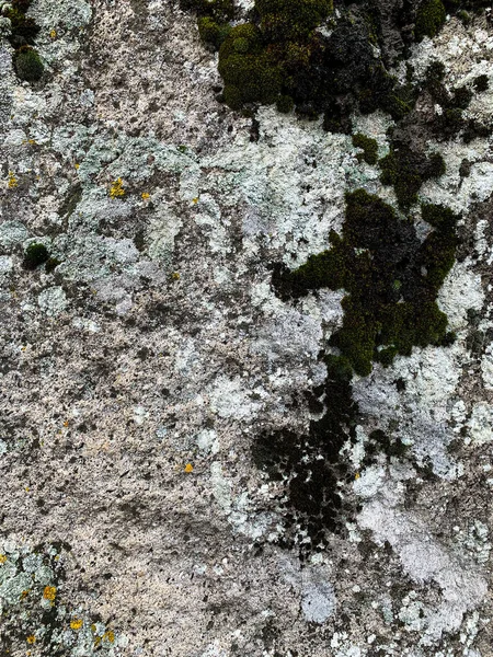 Dağ kayası arka planı. Taş zemin