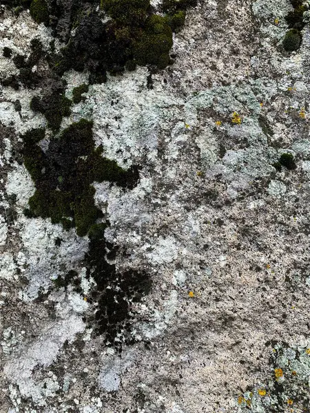 Dağ kayası arka planı. Taş zemin