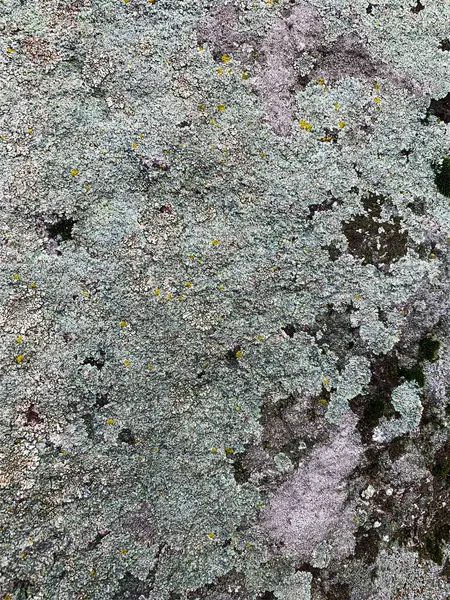 Dağ kayası arka planı. Taş zemin