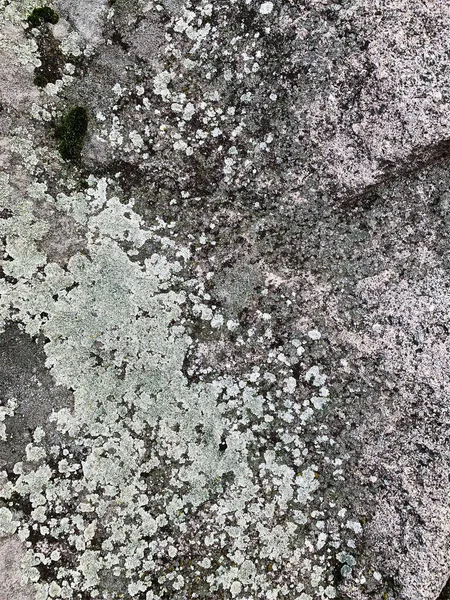 Dağ kayası arka planı. Taş zemin