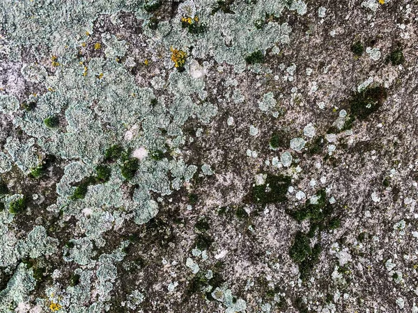 Dağ kayası arka planı. Taş zemin