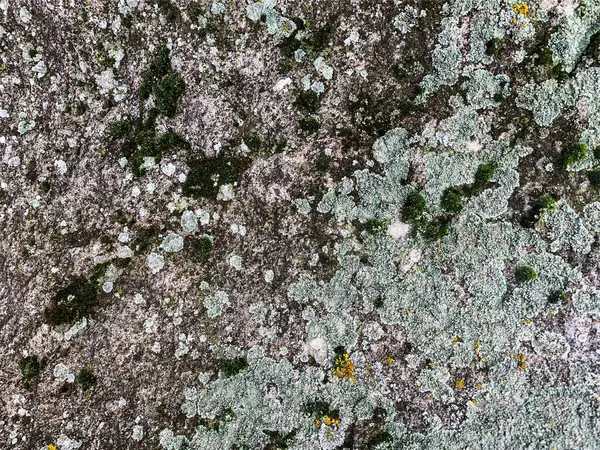 Dağ kayası arka planı. Taş zemin