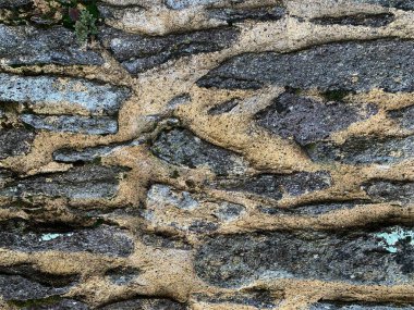 eski taş duvar arkaplanı