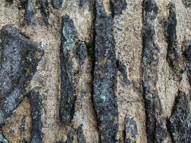 eski taş duvar arkaplanı