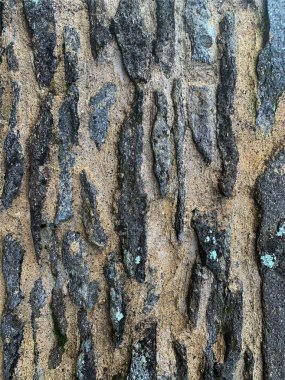 eski taş duvar arkaplanı