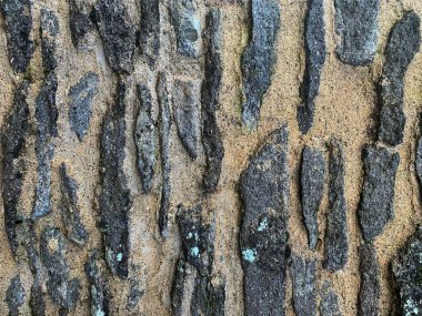 eski taş duvar arkaplanı