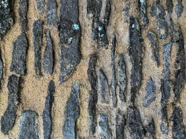 eski taş duvar arkaplanı