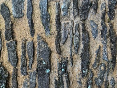 eski taş duvar arkaplanı