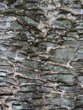 eski taş duvar arkaplanı