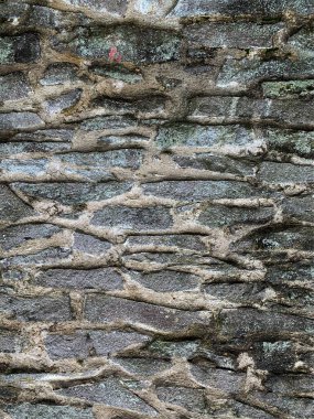 eski taş duvar arkaplanı