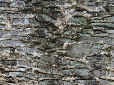 eski taş duvar arkaplanı