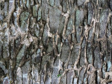 eski taş duvar arkaplanı