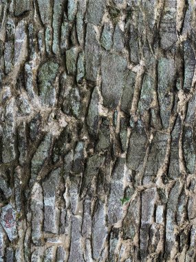 eski taş duvar arkaplanı