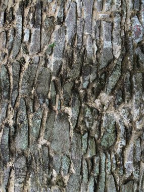 eski taş duvar arkaplanı