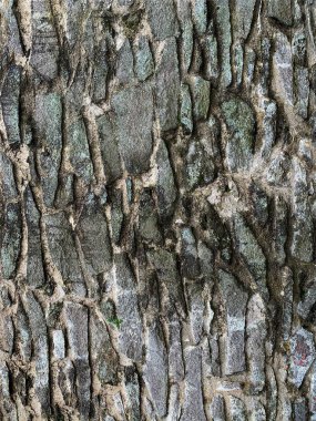 eski taş duvar arkaplanı