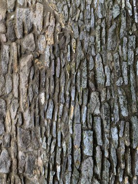 eski taş duvar arkaplanı