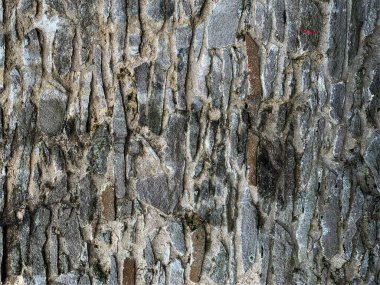 eski taş duvar arkaplanı