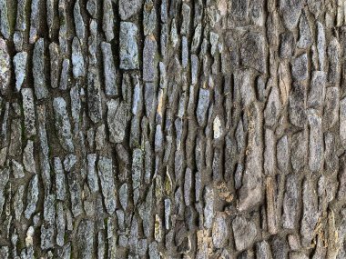 eski taş duvar arkaplanı