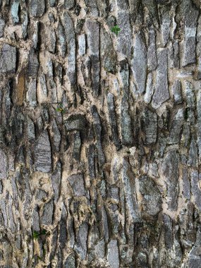 eski taş duvar arkaplanı