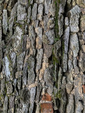 eski taş duvar arkaplanı