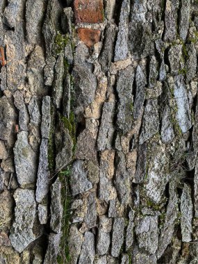 eski taş duvar arkaplanı