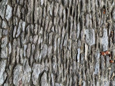 eski taş duvar arkaplanı