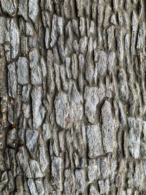 eski taş duvar arkaplanı