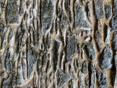 eski taş duvar arkaplanı