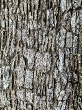 eski taş duvar arkaplanı