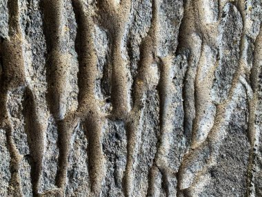 eski taş duvar arkaplanı