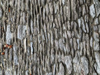 eski taş duvar arkaplanı