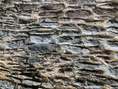 eski taş duvar arkaplanı