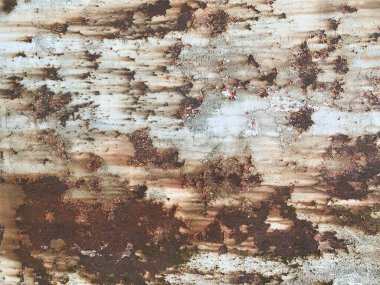 Paslı metal yüzey dokusu. Paslı Arkaplan